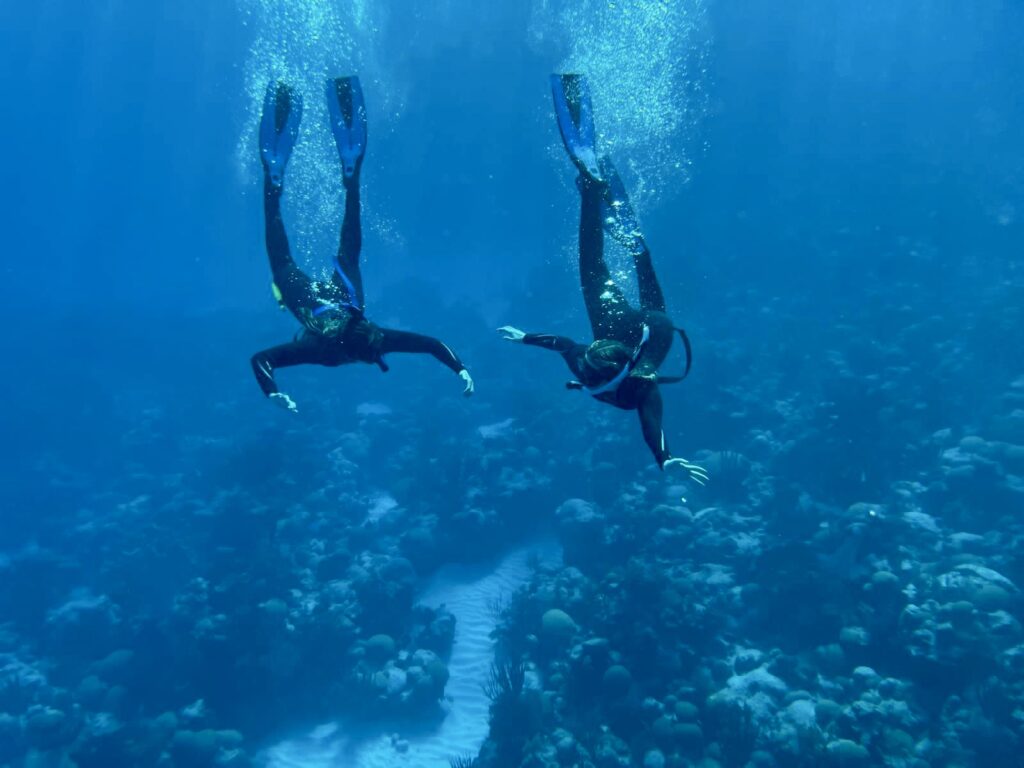 Bermuda diving