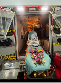 EM | November Newsletter!