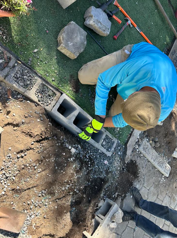 Day #10 – Friday 16 January 2026