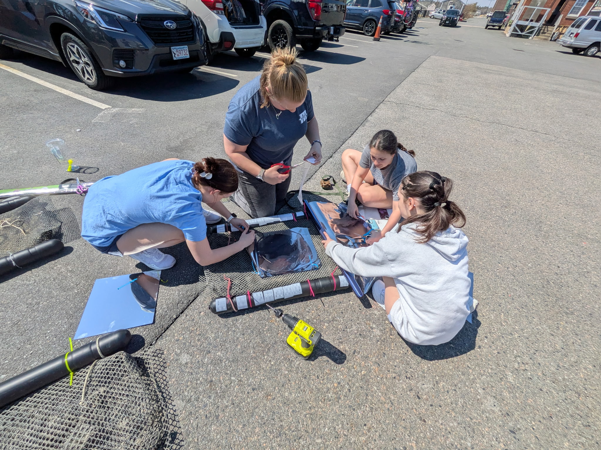 MSSEP | Bird Deterrent Project